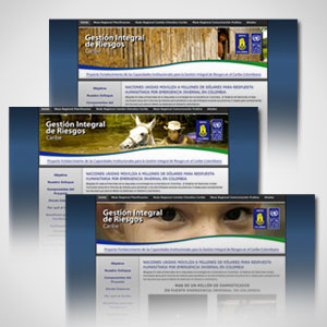 Gestión Integral de Riesgos
